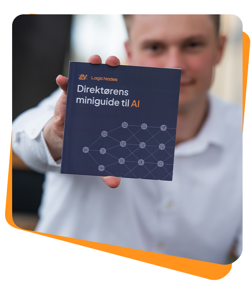 direktørens-miniguide2